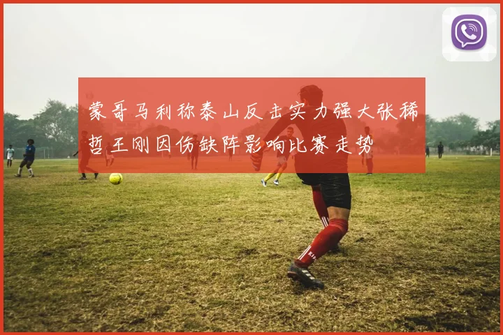 蒙哥马利称泰山反击实力强大张稀哲王刚因伤缺阵影响比赛走势
