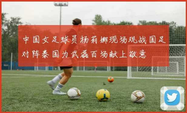 中国女足球员杨莉娜现场观战国足对阵泰国为武磊百场献上敬意