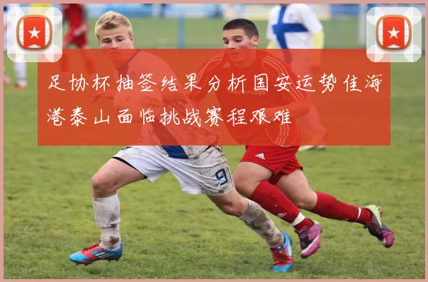 足协杯抽签结果分析国安运势佳海港泰山面临挑战赛程艰难